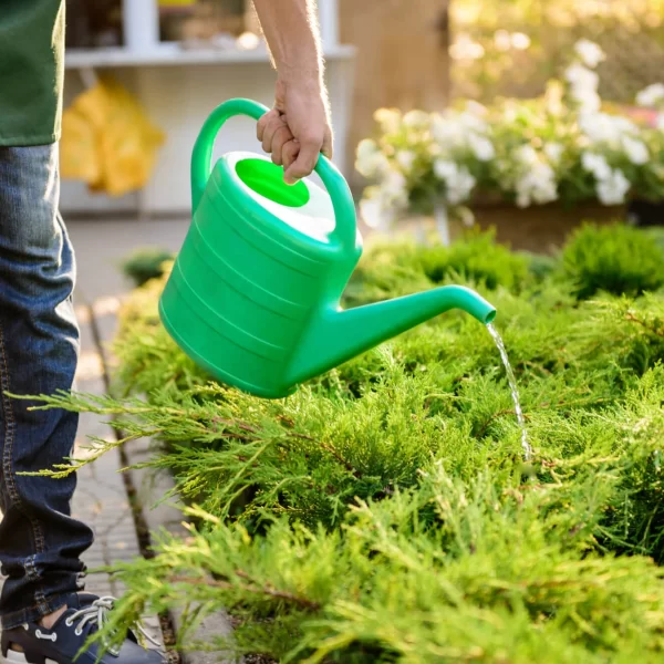 Empresas de Jardinagem
